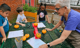 Good Seeds Garden growing strong