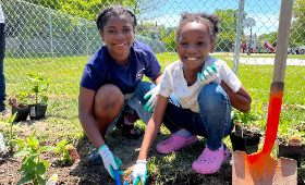 KCPS achieves 100% Green Schools status