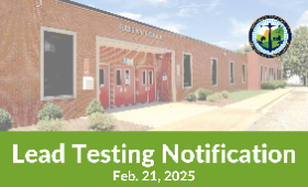 Lead testing notification